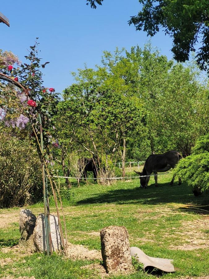 Hotel Pey Sud Sistels Zewnętrze zdjęcie