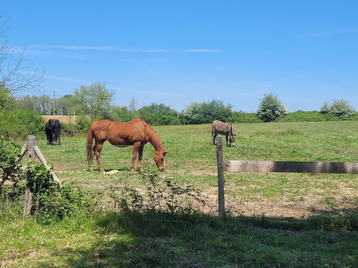 Hotel Pey Sud Sistels Zewnętrze zdjęcie